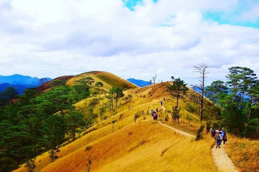 3 trekking routes that tourists should try when coming to Ho Chi Minh City