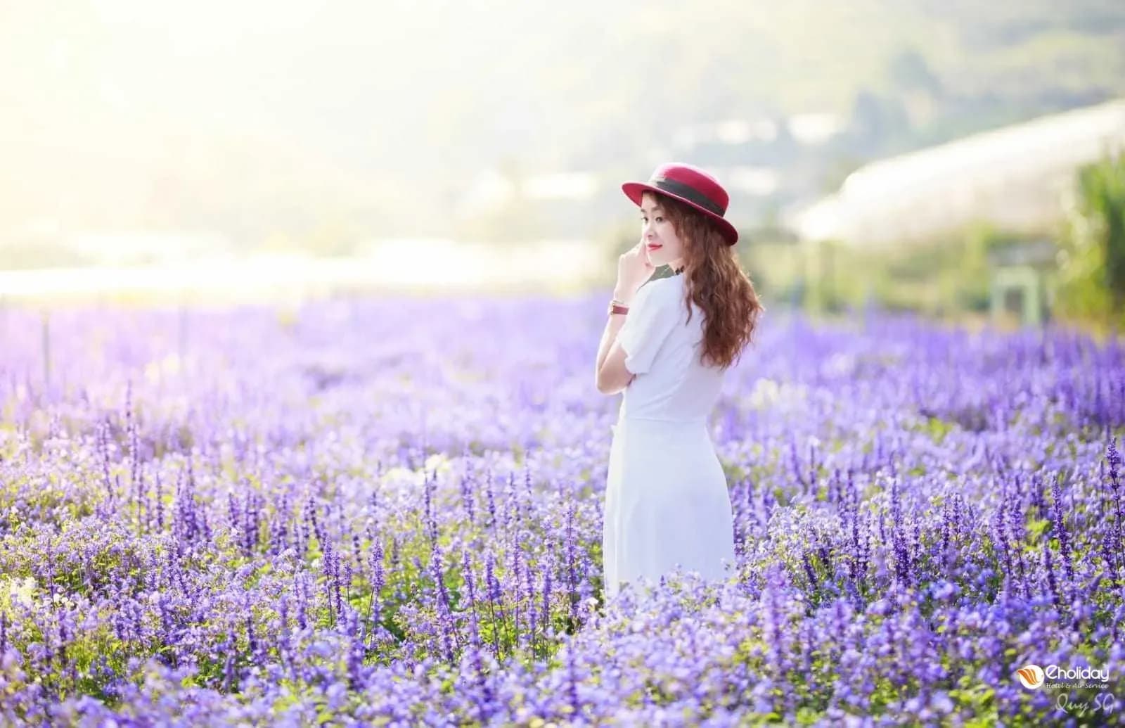 Happy lavender fields