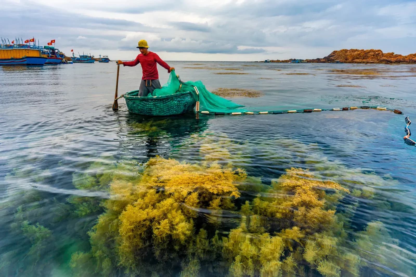 Basket boat - Symbol and soul of Vietnam's sea