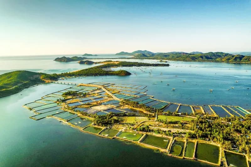 O Loan Lagoon - An interesting destination in the journey to discover Phu Yen