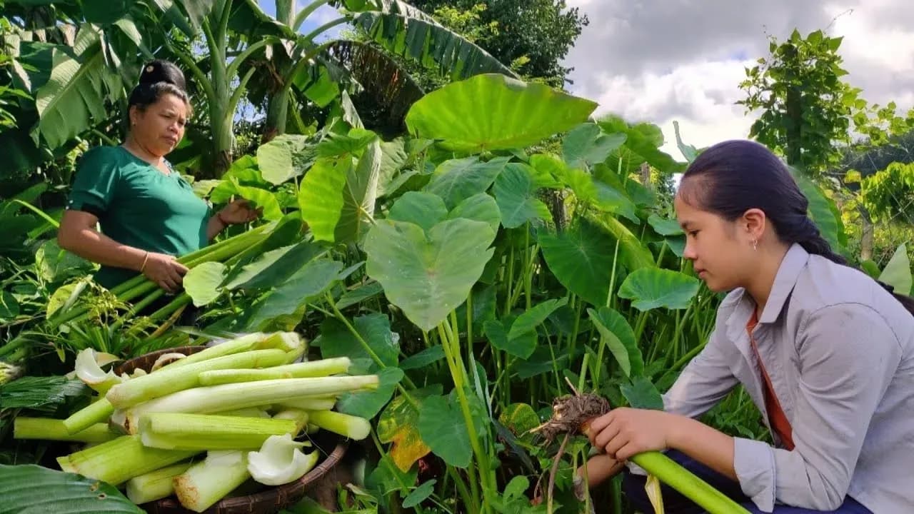 Discover the unique flavor of Canh Bon - A rustic dish of the Northwest