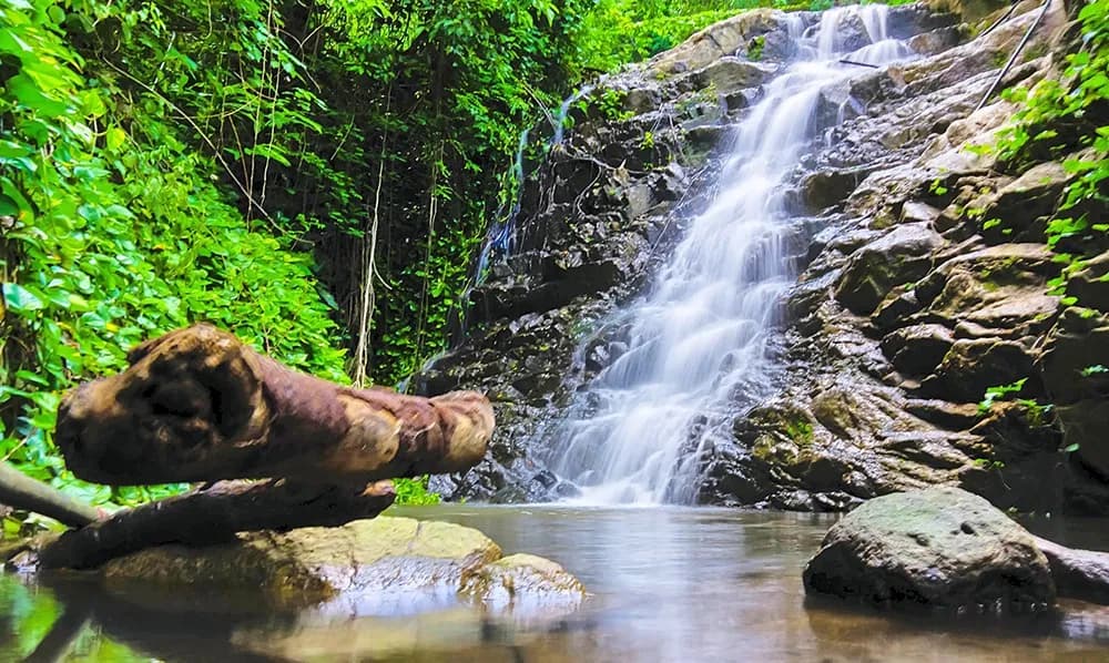 The beauty of Thanh Long Stream, An Giang