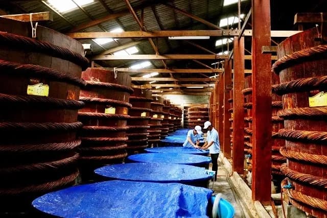 Phu Quoc fish sauce making - National intangible cultural heritage