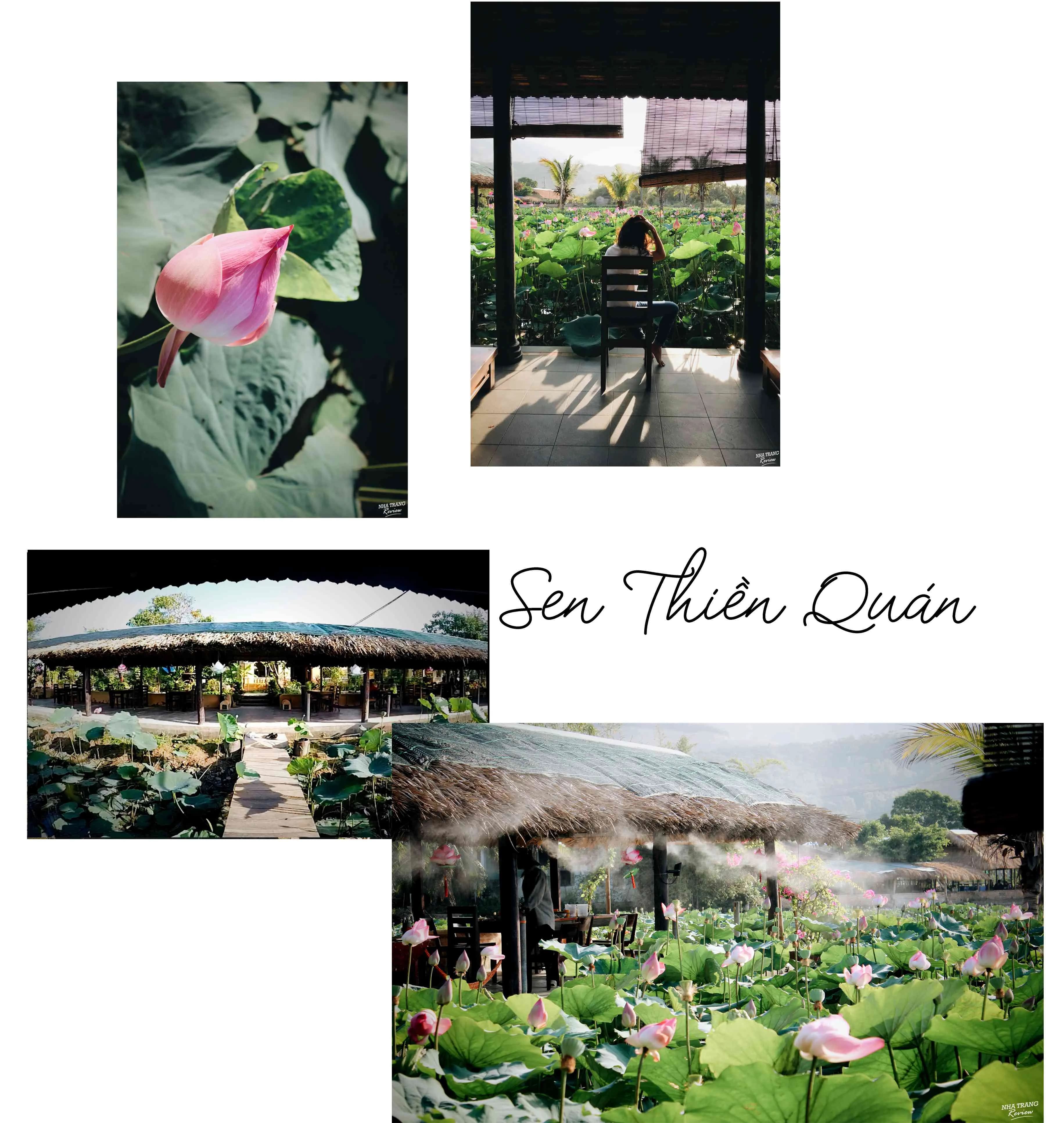 Discover the best vegetarian restaurants in Nha Trang