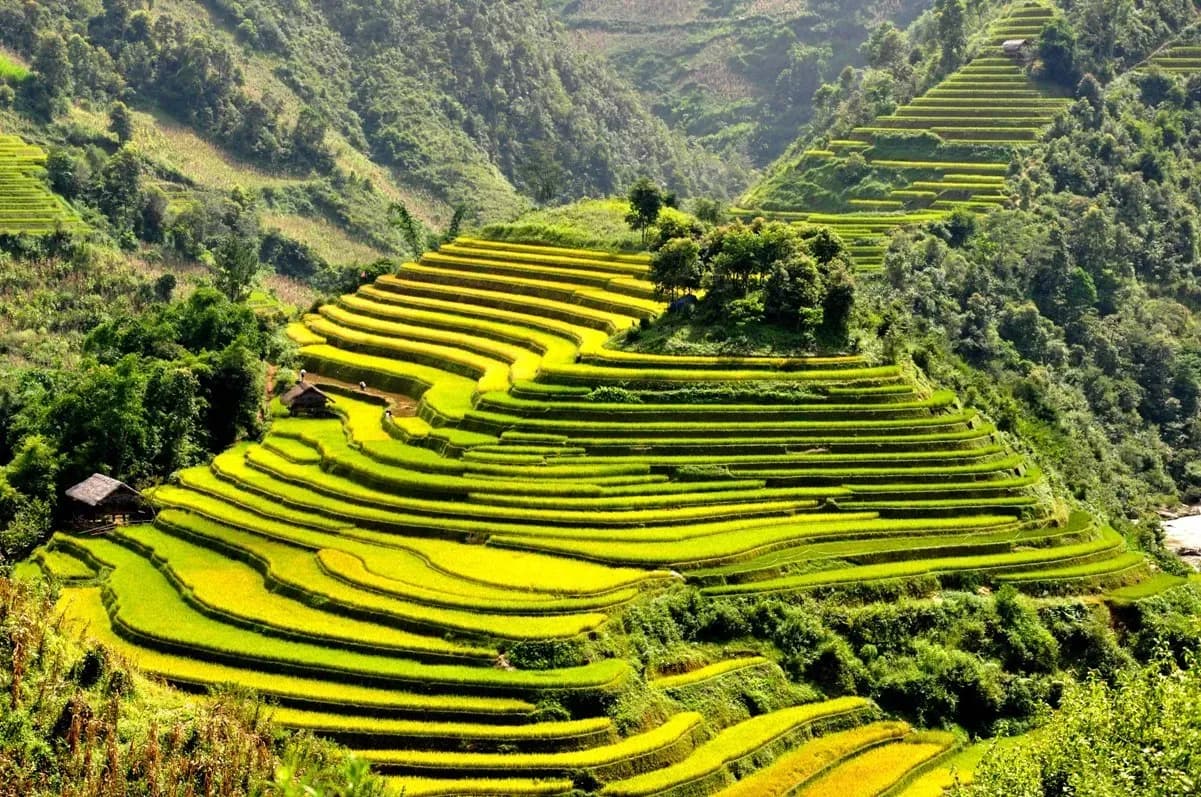 Tu Le terraced fields, Yen Bai