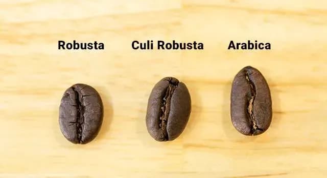 Raw Coffee: Experience the Original Flavor  