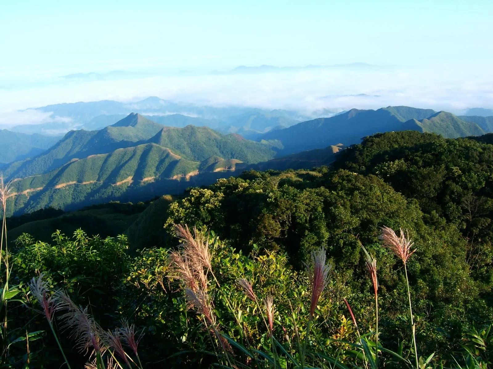 Explore Binh Lieu in December by trekking
