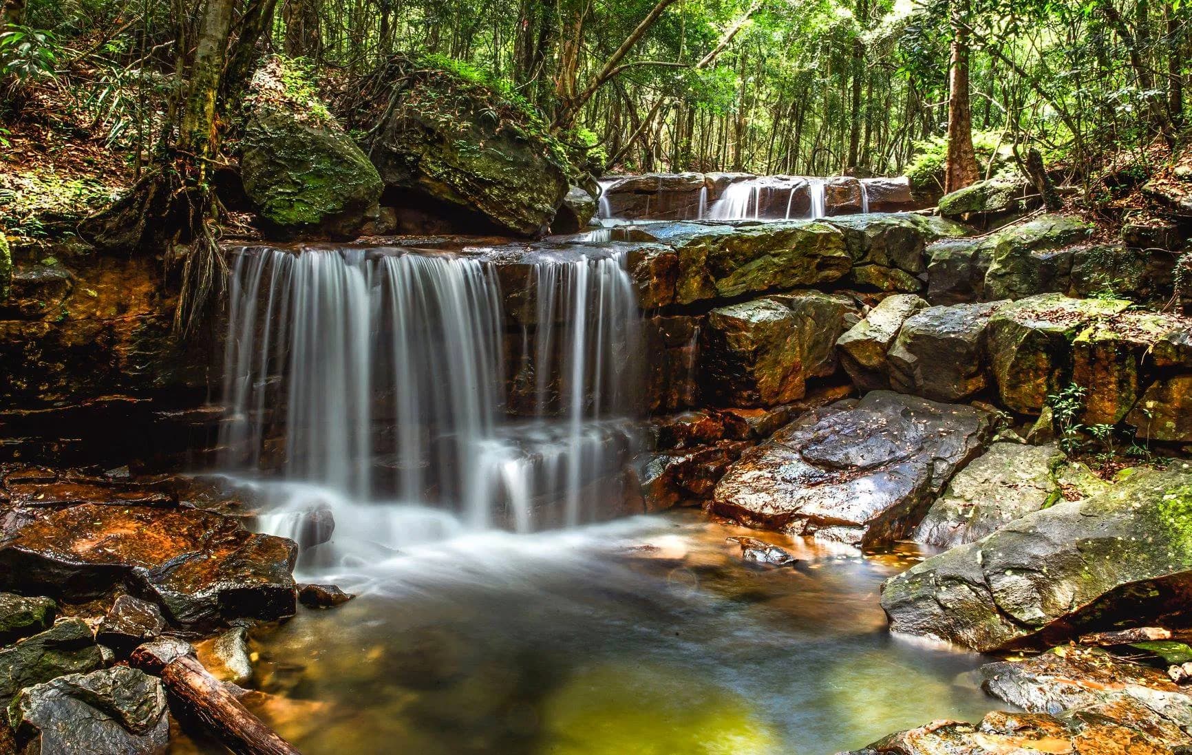 Great trekking experience in Phu Quoc National Park