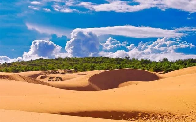 Pocket all the travel guides to Mui Ne Sand Dunes  