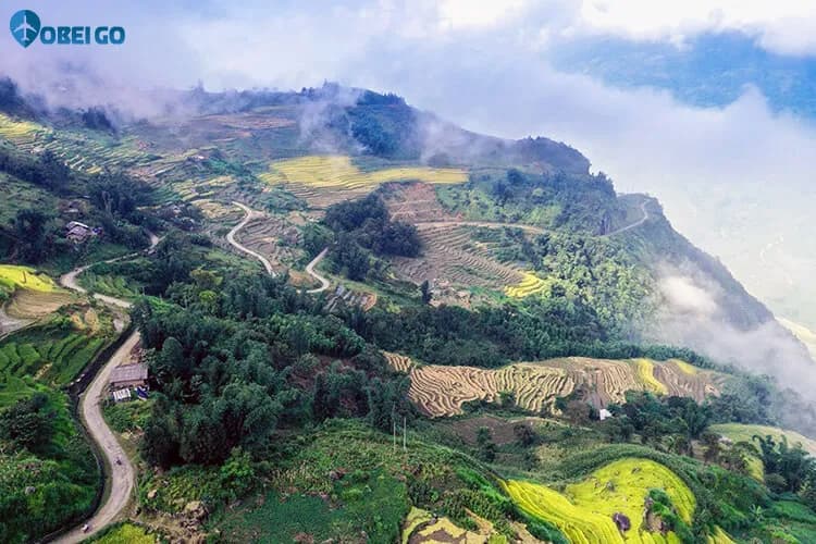 Tu Le fields - a symbol of Vietnamese charm