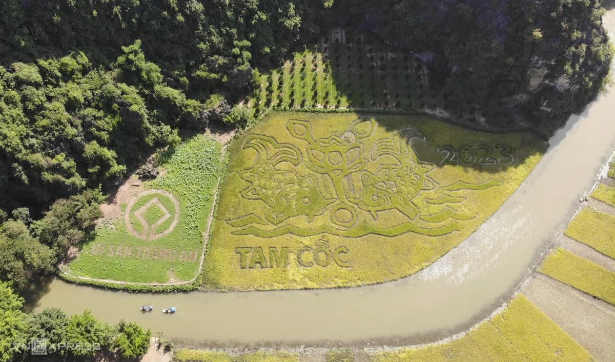 The peaceful beauty of Tam Coc - Bich Dong fields 