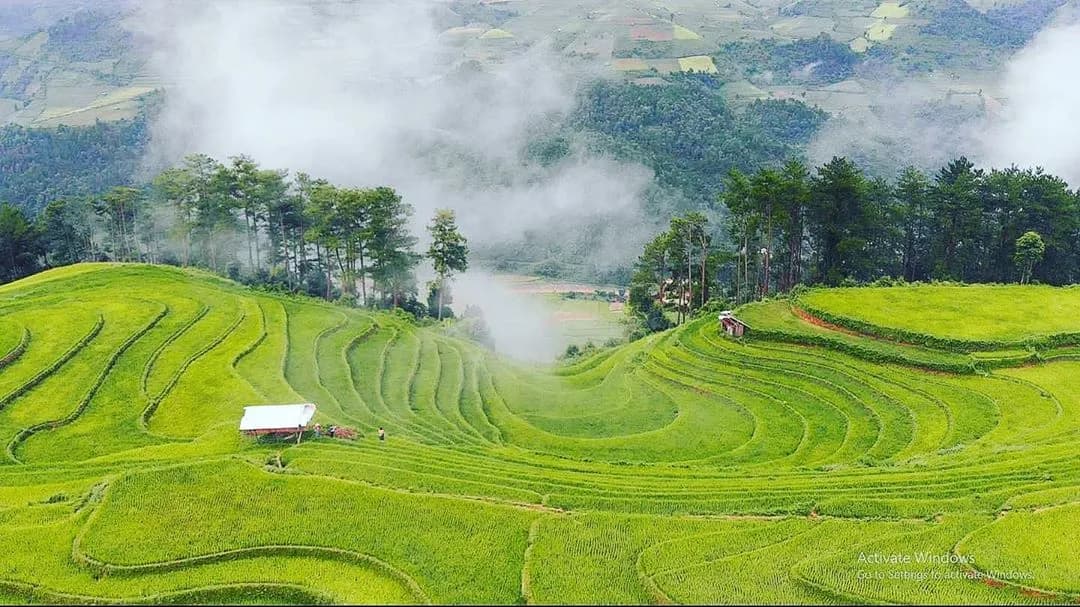 Mu Cang Chai Travel Guide