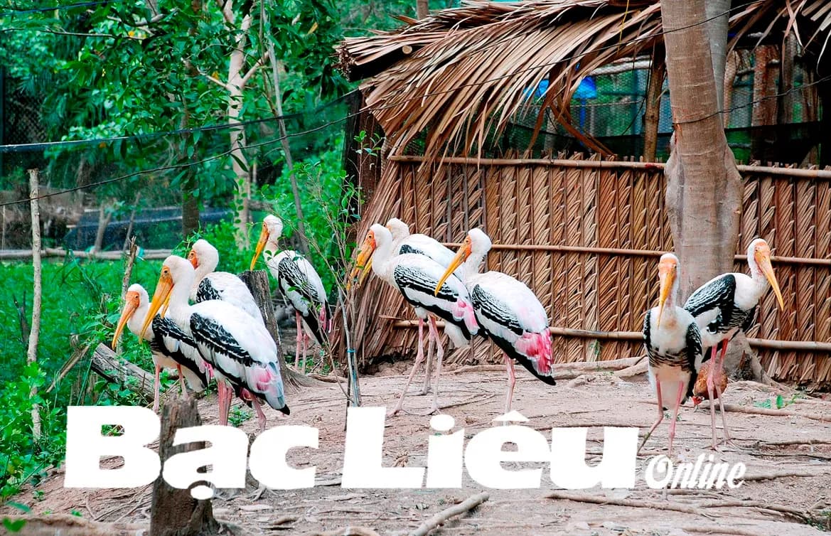 Species and habitat conservation area of Bac Lieu Bird Garden