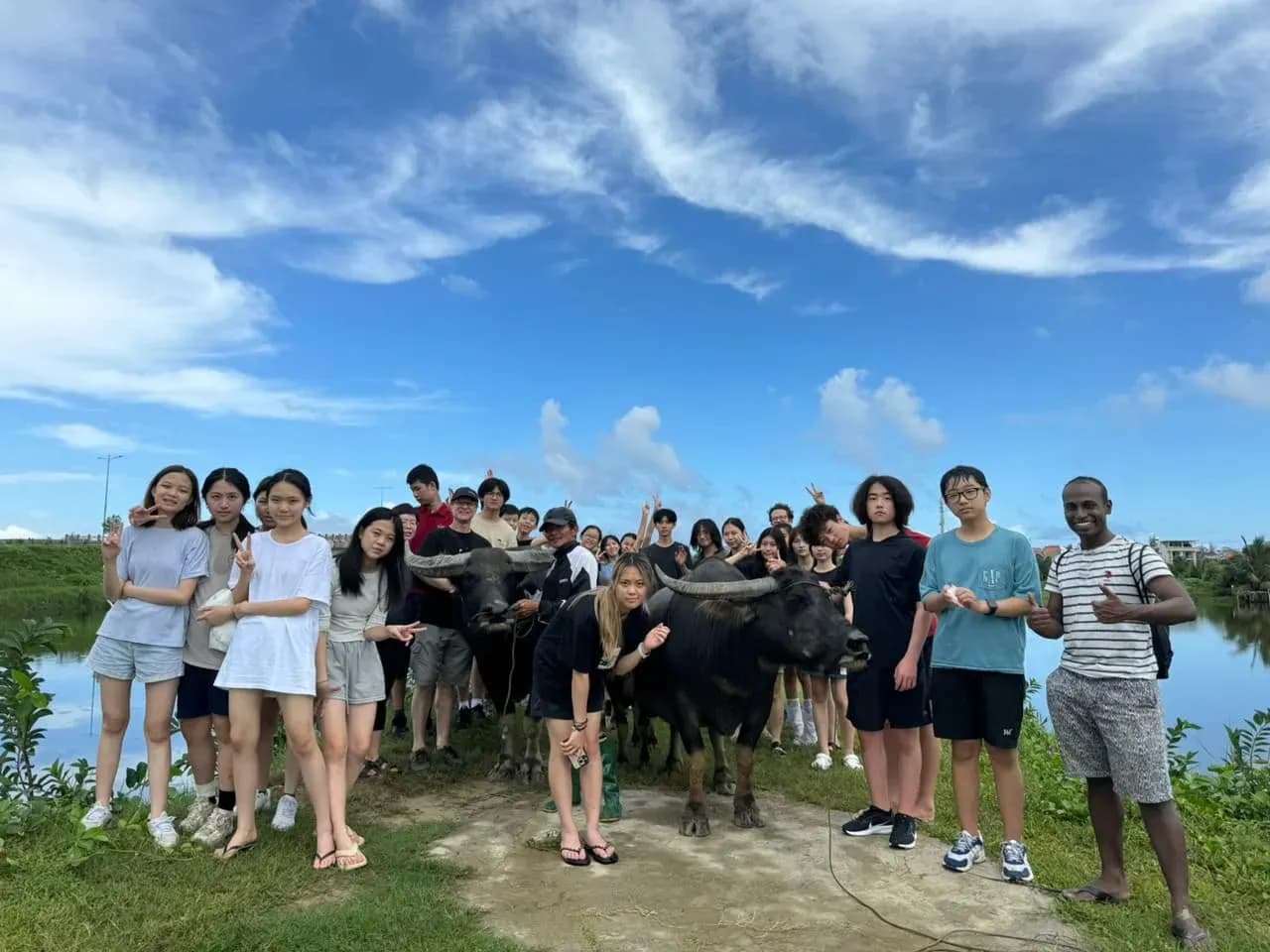A group of smiling students on a Vietnam school tour posing happily for a photo with two buffalos in the background, set in a rural landscape