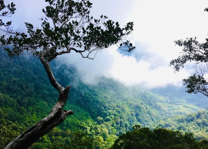 Kham-pha-hon-dao--nui-lua--trieu-nam-tuoi-va-nhung-trai-nghiem-co-_Núi Cà Đam 1.jpg