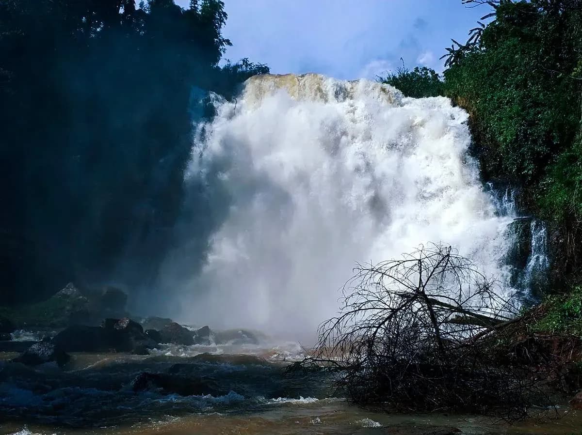 Majestic waterfall amidst Gia Lai forest, creating a breathtaking natural scene.