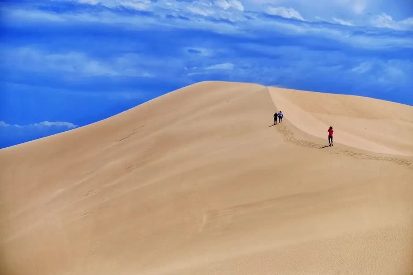 Son Hai Sand Dunes - Discover the wild beauty of Ninh Thuan coast