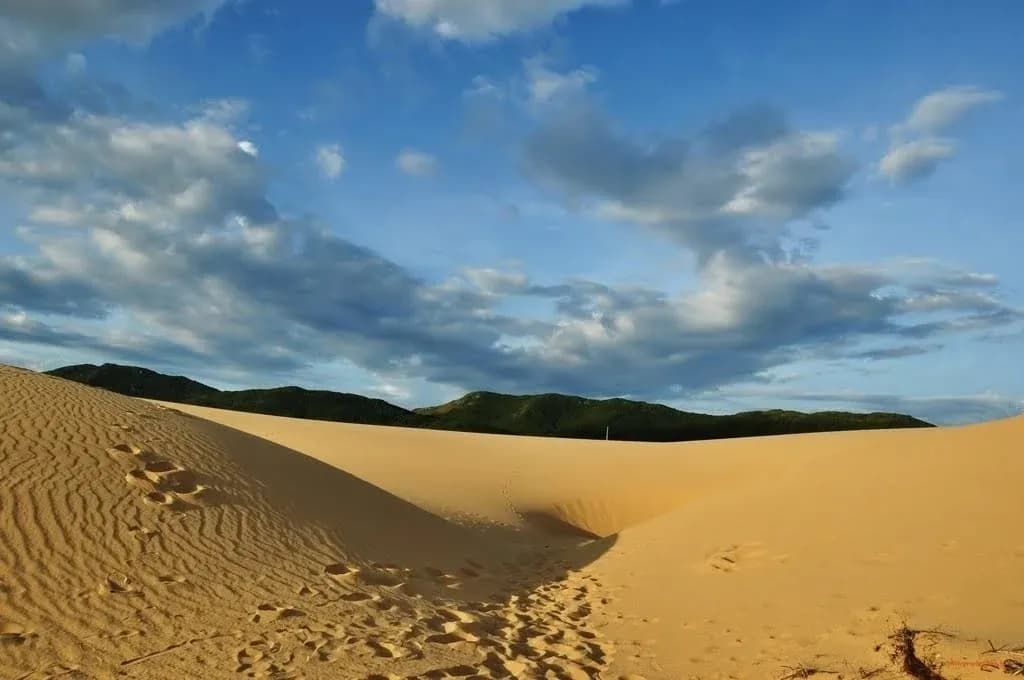 Phuong Mai Quy Nhon Sand Dunes - An impressive destination in the hearts of tourists