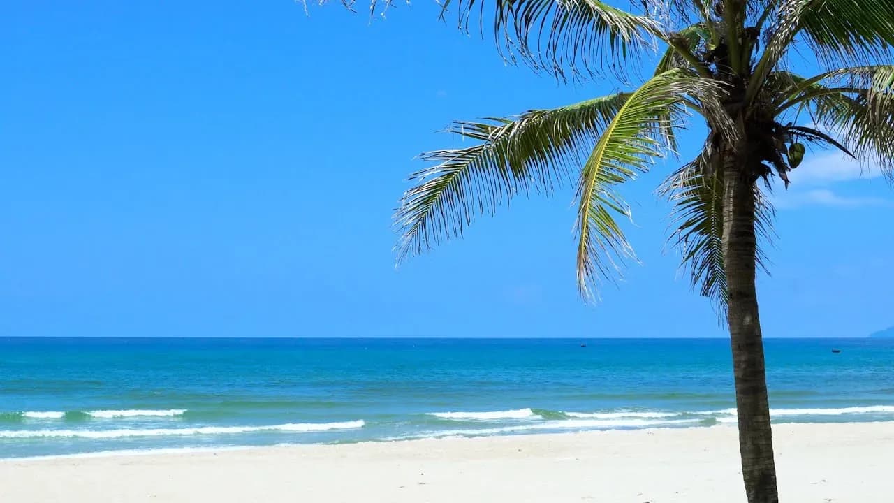 Long Hai Beach: The Perfect Camping Spot In Vung Tau